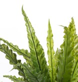 KantoormeubelenPlus Asplenium Kunstplant in Bloempot Stan - H54 x Ø66 cm - Groen