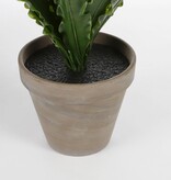 KantoormeubelenPlus Asplenium Kunstplant in Bloempot Stan - H54 x Ø66 cm - Groen