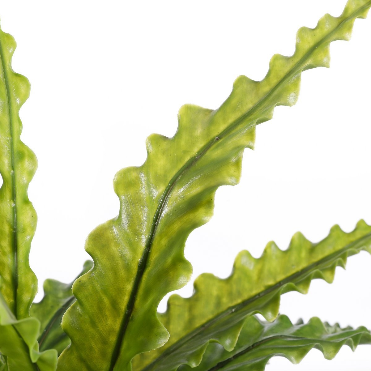 KantoormeubelenPlus Asplenium Kunstplant in Bloempot Stan - H54 x Ø66 cm - Groen