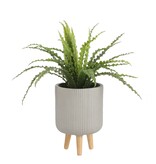 KantoormeubelenPlus Asplenium Kunstplant in Bloempot Stan - H54 x Ø66 cm - Groen