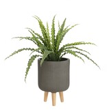 KantoormeubelenPlus Asplenium Kunstplant in Bloempot Stan - H54 x Ø66 cm - Groen