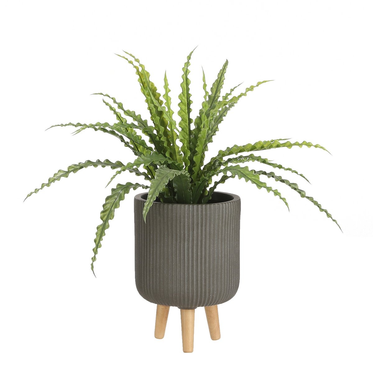 KantoormeubelenPlus Asplenium Kunstplant in Bloempot Stan - H54 x Ø66 cm - Groen