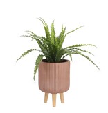 KantoormeubelenPlus Asplenium Kunstplant in Bloempot Stan - H54 x Ø66 cm - Groen