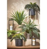 KantoormeubelenPlus Asplenium Kunstplant in Bloempot Stan - H54 x Ø66 cm - Groen