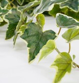 KantoormeubelenPlus Hedera Kunst Hangplant - H86 cm - Groen Bont