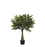 KantoormeubelenPlus Pachira Kunstplant - H60 x Ø60 cm - Groen