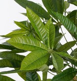 KantoormeubelenPlus Pachira Kunstplant - H60 x Ø60 cm - Groen