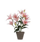 KantoormeubelenPlus Tijgerlelie Kunstplant in Bloempot Stan - H47 x Ø45 cm - Roze