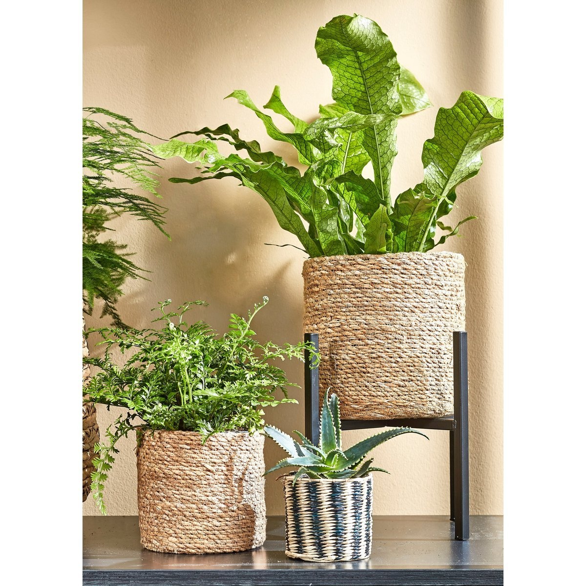 KantoormeubelenPlus Atlantic Mand voor Planten - Set van 2 - H26 x Ø30 cm - Lichtbruin