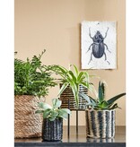 KantoormeubelenPlus Atlantic Mand voor Planten - Set van 2 - H26 x Ø30 cm - Lichtbruin