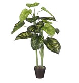 KantoormeubelenPlus Caladium Kunstplant - H100 x Ø50 cm - Groen