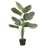 KantoormeubelenPlus Calathea Orbifolia Kunstplant - H90 x Ø60 cm - Groen