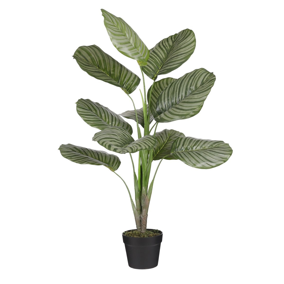 KantoormeubelenPlus Calathea Orbifolia Kunstplant - H90 x Ø60 cm - Groen