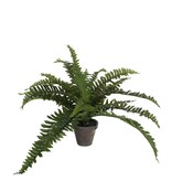 KantoormeubelenPlus Boston Varen Kunstplant in Bloempot Stan - H35 x Ø45 cm - Groen
