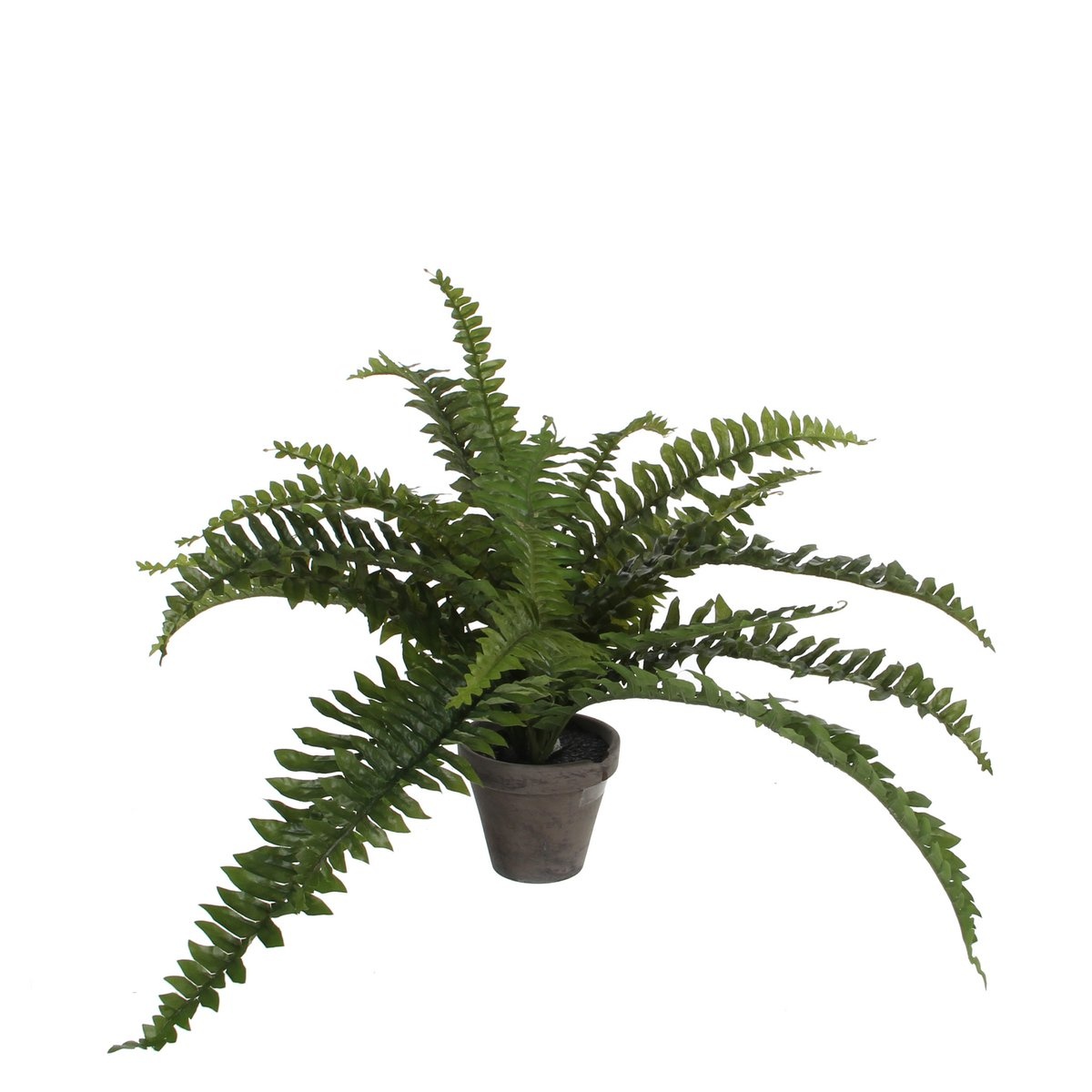 KantoormeubelenPlus Boston Varen Kunstplant in Bloempot Stan - H35 x Ø45 cm - Groen