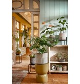 KantoormeubelenPlus Ascot Plantenstandaard XL - L34 x B34 x H49,5 cm - Metaal - Zwart