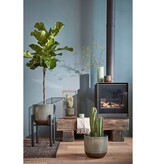 KantoormeubelenPlus Ascot Plantenstandaard XL - L34 x B34 x H49,5 cm - Metaal - Zwart