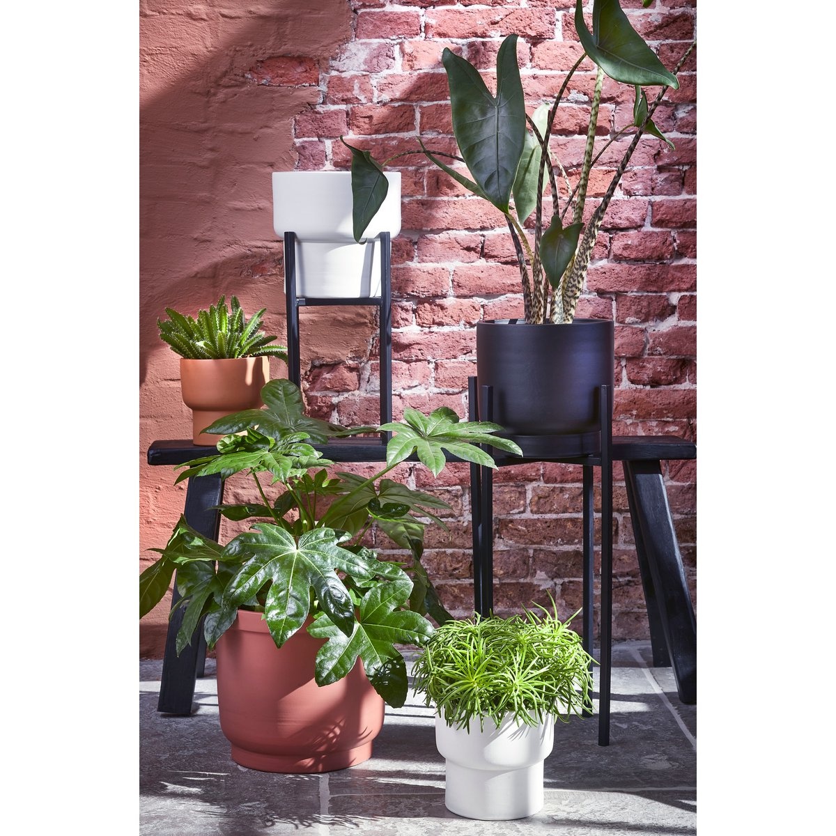 KantoormeubelenPlus Ascot Plantenstandaard XL - L34 x B34 x H49,5 cm - Metaal - Zwart