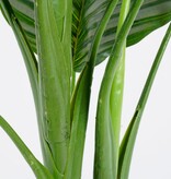 KantoormeubelenPlus Calathea Orbifolia Kunstplant - H90 x Ø60 cm - Groen