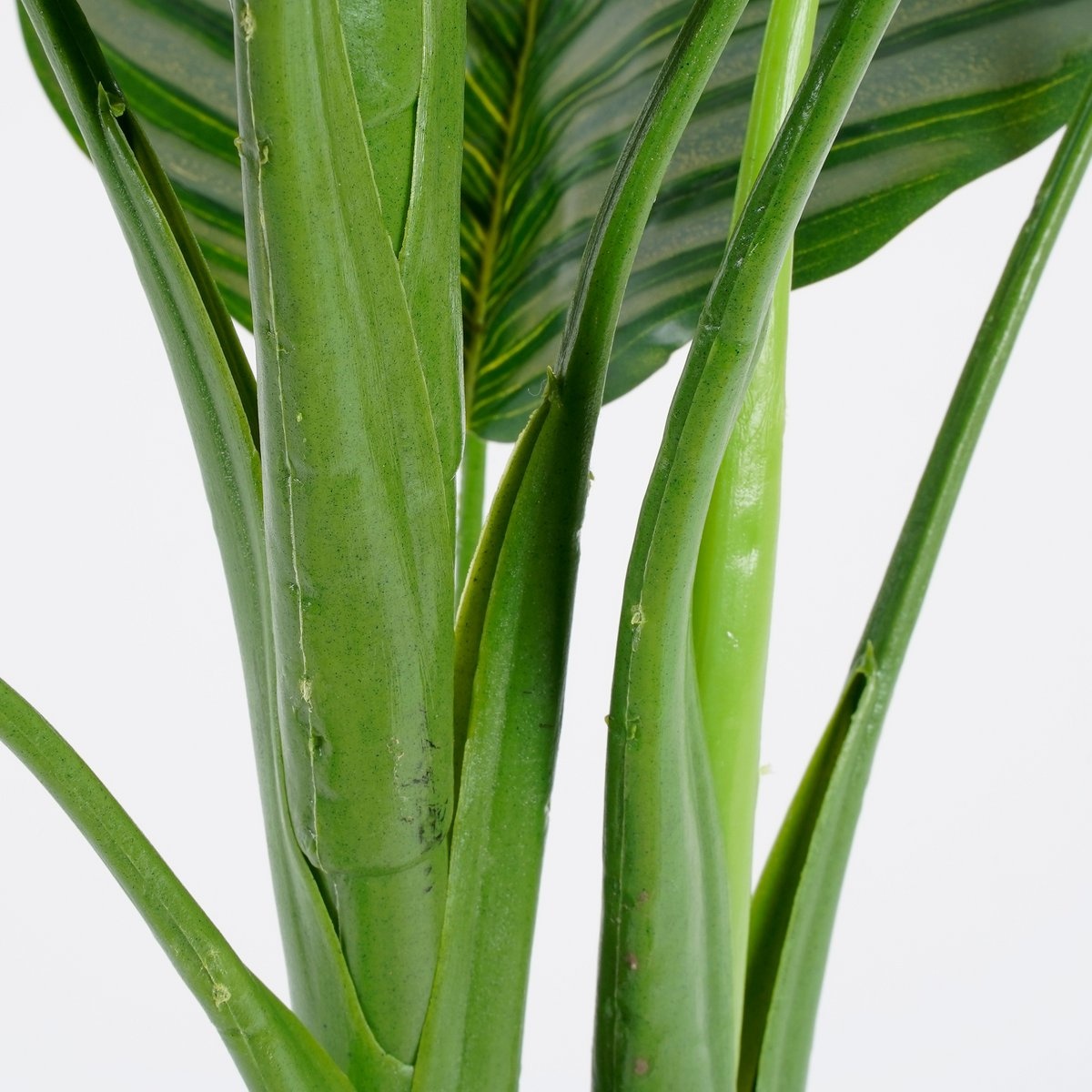 KantoormeubelenPlus Calathea Orbifolia Kunstplant - H90 x Ø60 cm - Groen