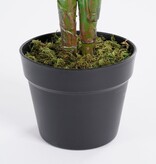 KantoormeubelenPlus Calathea Orbifolia Kunstplant - H90 x Ø60 cm - Groen