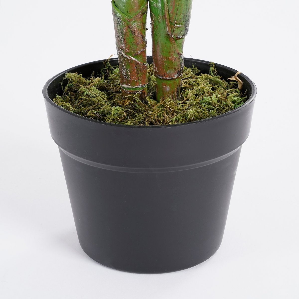 KantoormeubelenPlus Calathea Orbifolia Kunstplant - H90 x Ø60 cm - Groen
