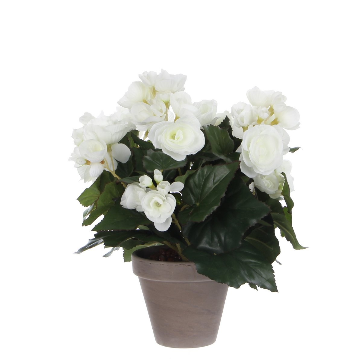 KantoormeubelenPlus Begonia Kunstplant in Bloempot Stan - H30 x Ø25 cm - Wit