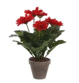 KantoormeubelenPlus Gerbera Kunstplant in Bloempot Stan - H35 x Ø30 cm - Rood