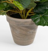 KantoormeubelenPlus Begonia Kunstplant in Bloempot Stan - H30 x Ø25 cm - Wit