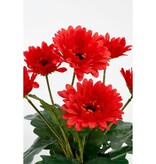 KantoormeubelenPlus Gerbera Kunstplant in Bloempot Stan - H35 x Ø30 cm - Rood