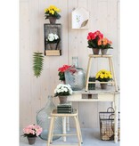 KantoormeubelenPlus Begonia Kunstplant in Bloempot Stan - H30 x Ø25 cm - Wit
