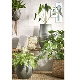 KantoormeubelenPlus Avalon Mand voor Planten - H21 x Ø18 cm - Zeegras - Lichtbruin