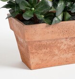 KantoormeubelenPlus Azalea Kunstplant in Balkonbak Slate - L29 x B13 x H27 cm - Roze