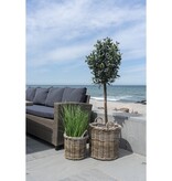 KantoormeubelenPlus Gili-mand