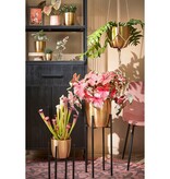 KantoormeubelenPlus Ascot Plantenstandaard XL - L34 x B34 x H71 cm - Metaal - Zwart