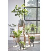 KantoormeubelenPlus Blom Plantenstandaard - L29,5 x B29,5 x H50 cm - Metaal - Zwart
