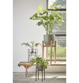 KantoormeubelenPlus Blom Plantenstandaard - L29,5 x B29,5 x H50 cm - Metaal - Zwart