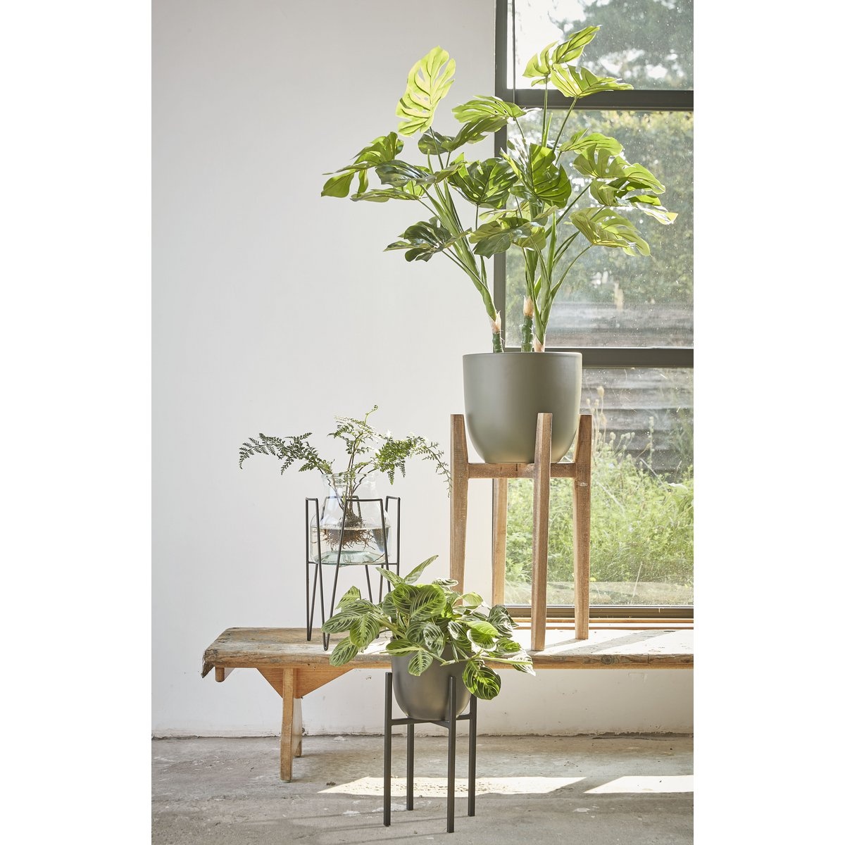 KantoormeubelenPlus Blom Plantenstandaard - L29,5 x B29,5 x H50 cm - Metaal - Zwart