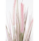 KantoormeubelenPlus Dogtail Gras Kunstplant - H53 x Ø30 cm - Paars