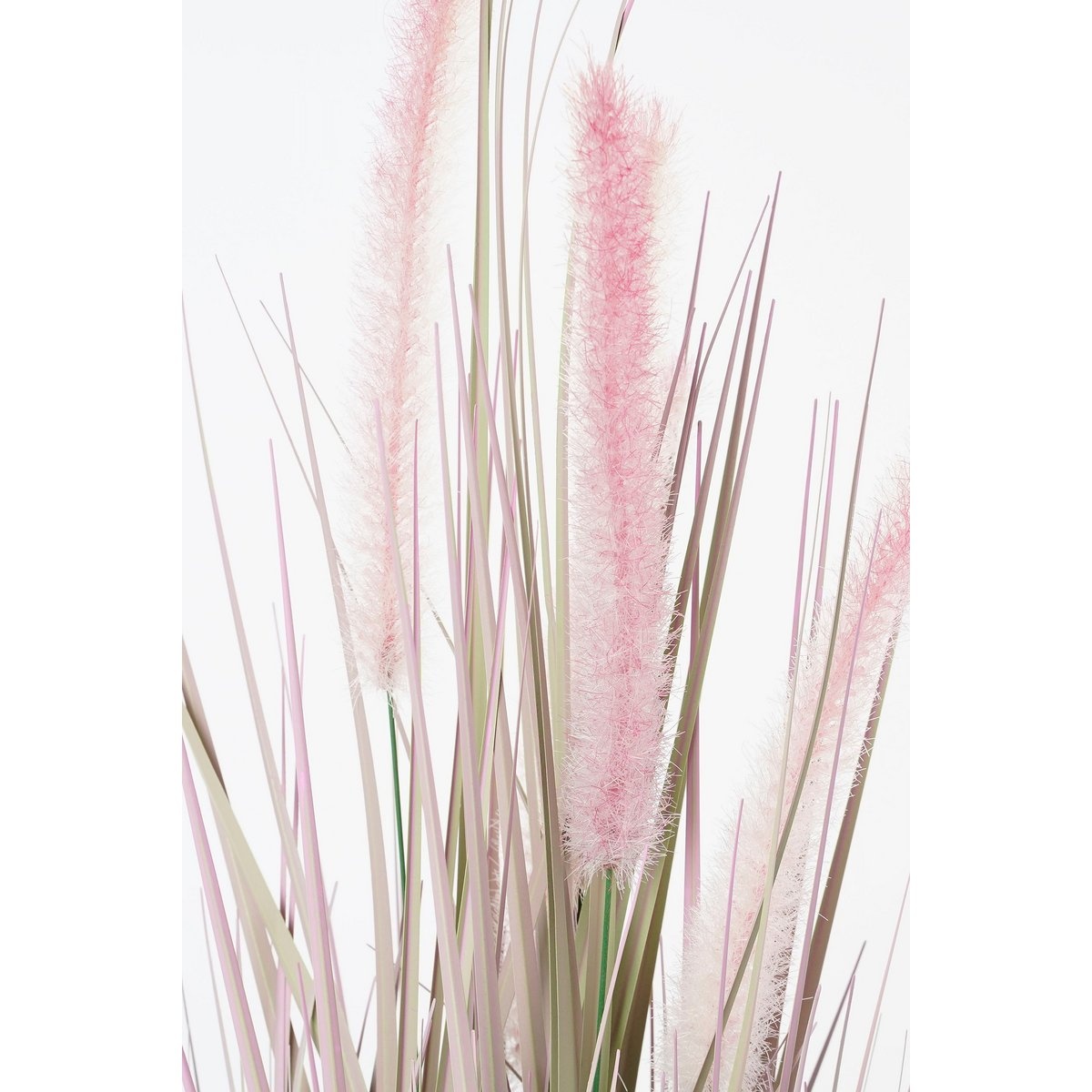 KantoormeubelenPlus Dogtail Gras Kunstplant - H53 x Ø30 cm - Paars