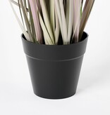 KantoormeubelenPlus Dogtail Gras Kunstplant - H53 x Ø30 cm - Paars