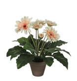 KantoormeubelenPlus Gerbera Kunstplant in Bloempot Stan - H35 x Ø30 cm - Crème