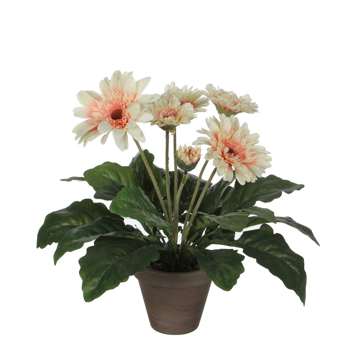 KantoormeubelenPlus Gerbera Kunstplant in Bloempot Stan - H35 x Ø30 cm - Crème