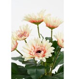 KantoormeubelenPlus Gerbera Kunstplant in Bloempot Stan - H35 x Ø30 cm - Crème