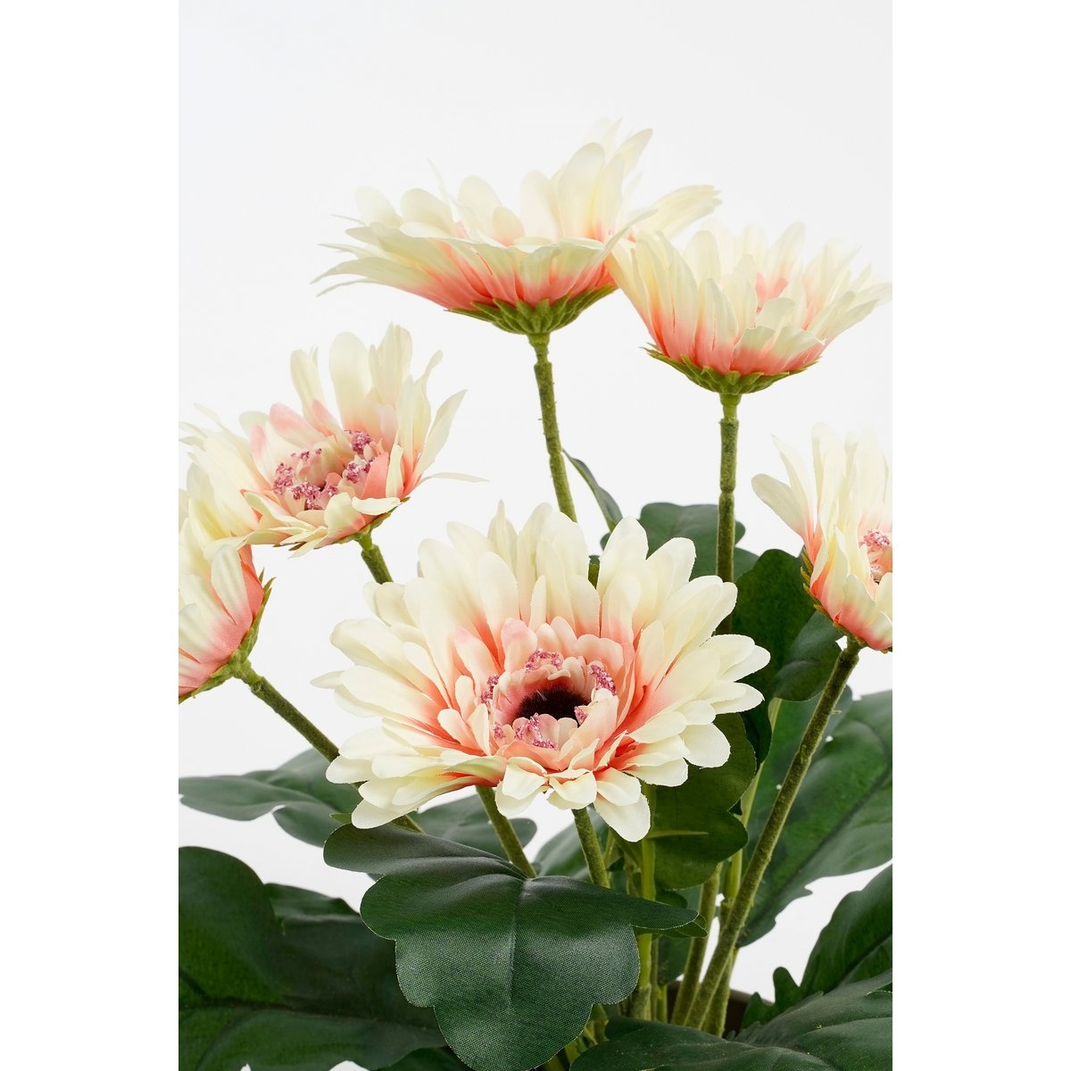 KantoormeubelenPlus Gerbera Kunstplant in Bloempot Stan - H35 x Ø30 cm - Crème