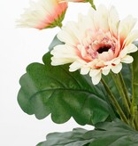 KantoormeubelenPlus Gerbera Kunstplant in Bloempot Stan - H35 x Ø30 cm - Crème