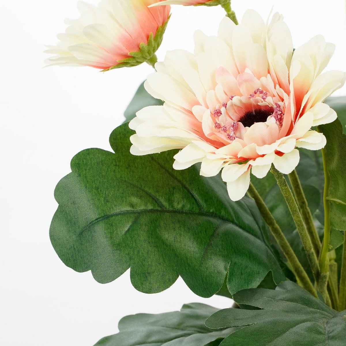 KantoormeubelenPlus Gerbera Kunstplant in Bloempot Stan - H35 x Ø30 cm - Crème