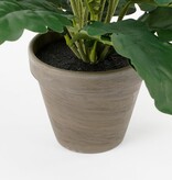 KantoormeubelenPlus Gerbera Kunstplant in Bloempot Stan - H35 x Ø30 cm - Crème
