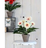 KantoormeubelenPlus Gerbera Kunstplant in Bloempot Stan - H35 x Ø30 cm - Crème