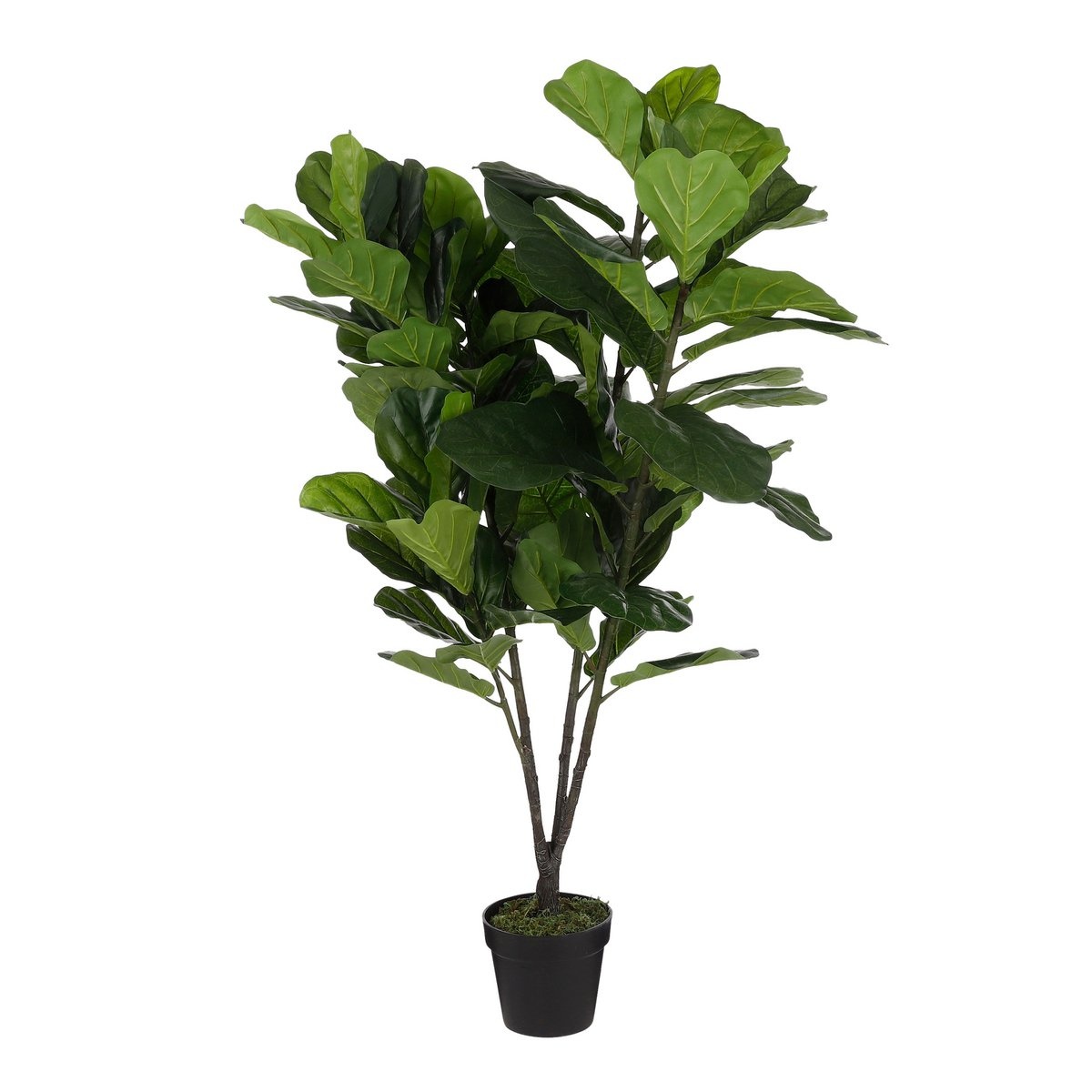 KantoormeubelenPlus Ficus Lyrata Kunstplant - H150 x Ø80 cm - Groen